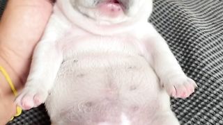 Que filhotinha fofinha ????