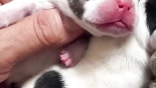 Too much cuteness ❤️