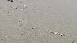 welcome to my beach