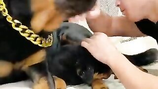 罗威纳真是把最好脾气的一面都留给了主人，乖巧的像个大宝宝????#罗威纳护卫犬 #狗狗 #向威和一坨 #搞笑.