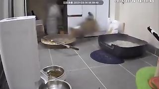 FUNNY CATS #6