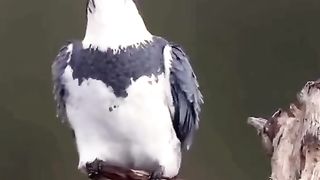 THE GOD'S BEAUTIFUL CREATION