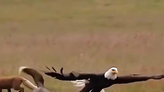 THE GOD'S BEAUTIFUL CREATION 2