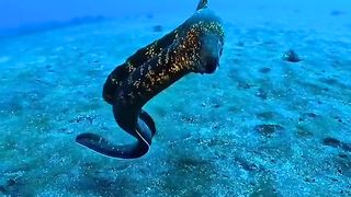GOD'S BEAUTIFUL CREATION 7
