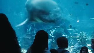 Aquaman 4