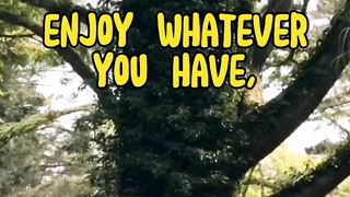 Life Happiness Pursuit!