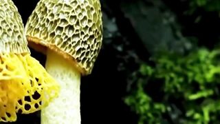 Beautiful nature 154