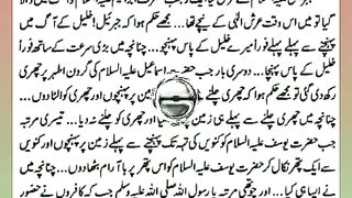 اسلامی معلومات Like share follow 506