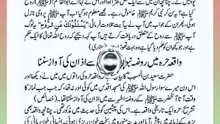 اسلامی معلومات Like share follow 511