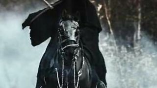 Horses 5