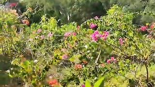 Beautiful place 44