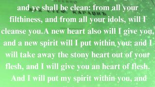 The Gospel according to John 80