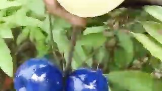 How to make funny ???? amazing and nutrition ???? to get waooow you