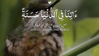 Quran 223
