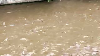 Pembesaran lele dikolam tanah semi beton❗Lele cepat besar
