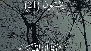 Quran 226
