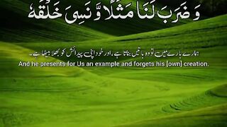 Quran 229
