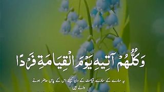 Quran 233
