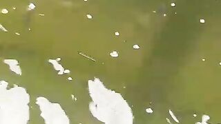 Treatment air kolam yang benar membuat ikan lele betah didasar kolam