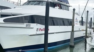 New Zealand boating area.