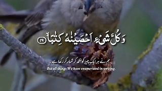 Quran 240