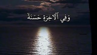 Quran 241
