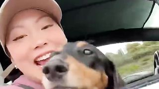GIVING MY DOG THE BEST DAY EVER ❤️????????