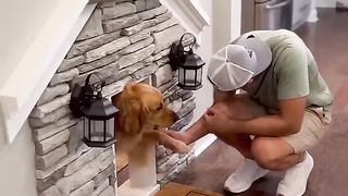 This spoiled dog has his own day called Teddy Tuesday! #dog #goldenretriever