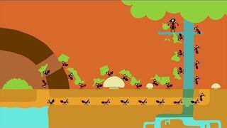 Animanimals_ Ant