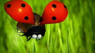 Ladybug Cartoon. Very funny 1 episode