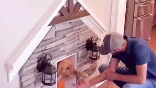 The most spoiled dog on the PLANET! #teddytuesday #dog #goldenretriever