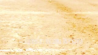 #foryou #Foryoupage #trending #horselover #horse #500k #fyp #1M #impres.5