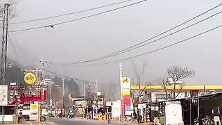 The village of a feather