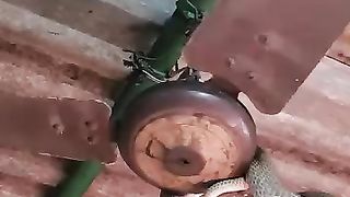 The snake fan