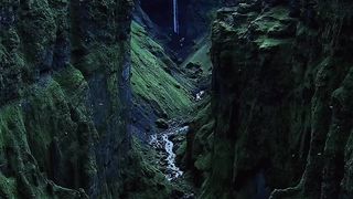 Nature 206