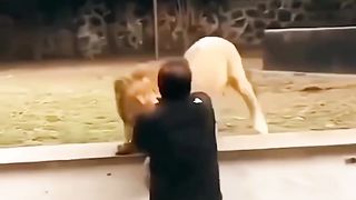 New viral funny trending video 4