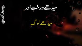 Sedhe darakht aur sedhe