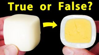 Do Square Eggs Have Square Yolks