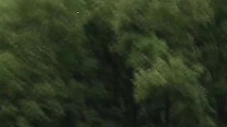Finn Allen hit a big six to Shaheen Afridi
