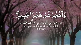 Quran 244