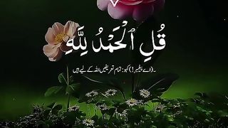 Quran 243
