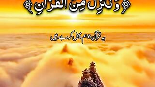 Quran 245