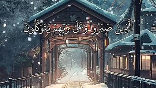 Quran 247