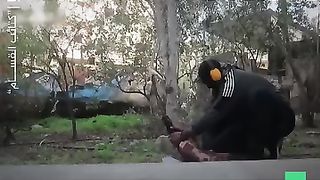New viral video / mujahideen