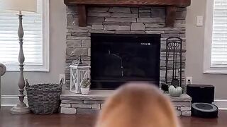 My dog had the most insane transformation!