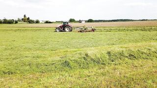 Green Grass