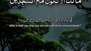 Quran 250