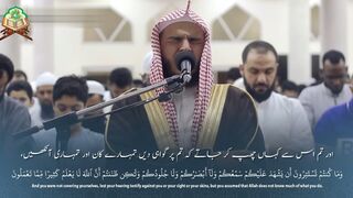 Surah Fussilat Ayat 1-24 Translation.