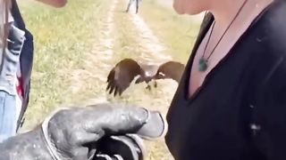 Precision of this eagle