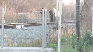 Train Kills Male Who Was Trying to Save a Dog